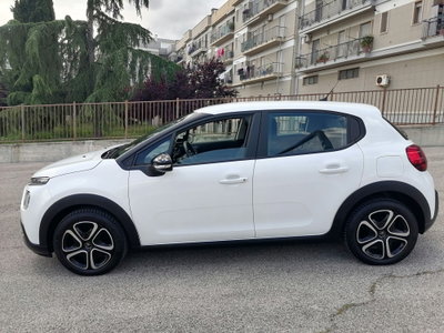 Citroen C3 BlueHDi 100 S&S Shine (3)