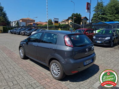 Fiat Punto 1.2 8V 5 porte Young (3)