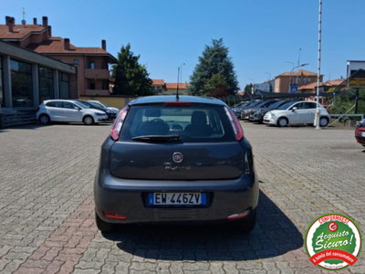 Fiat Punto 1.2 8V 5 porte Young (4)