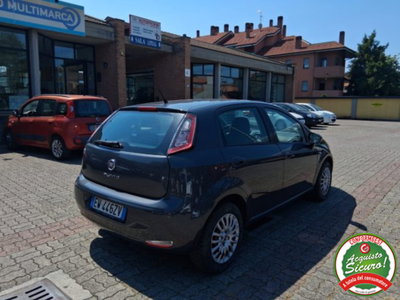 Fiat Punto 1.2 8V 5 porte Young (5)