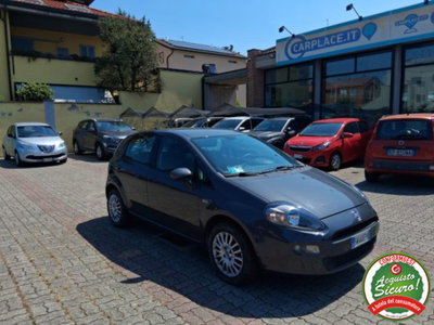 Fiat Punto 1.2 8V 5 porte Young (7)