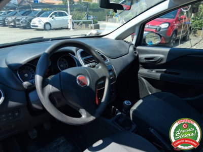 Fiat Punto 1.2 8V 5 porte Young (8)