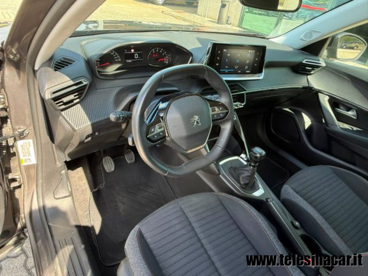 Peugeot 2008 PureTech 100 S&S Active Pack (10)
