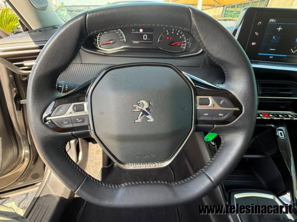 Peugeot 2008 PureTech 100 S&S Active Pack (16)