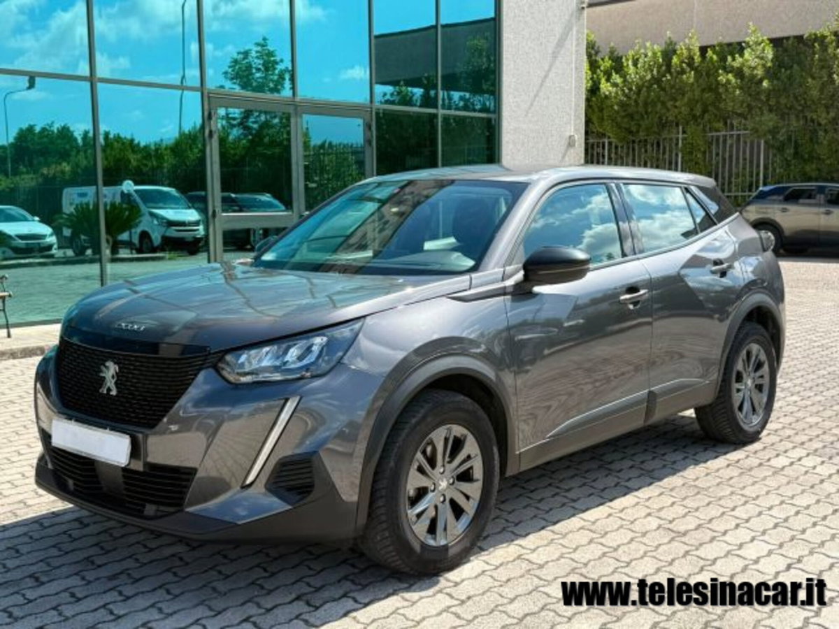 Peugeot 2008 PureTech 100 S&S Active Pack (2)