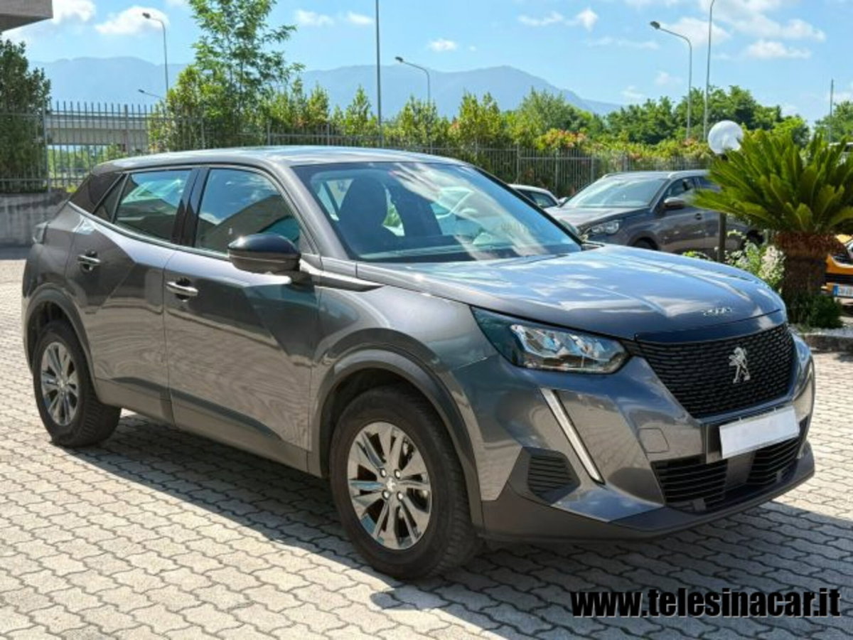 Peugeot 2008 PureTech 100 S&S Active Pack (4)