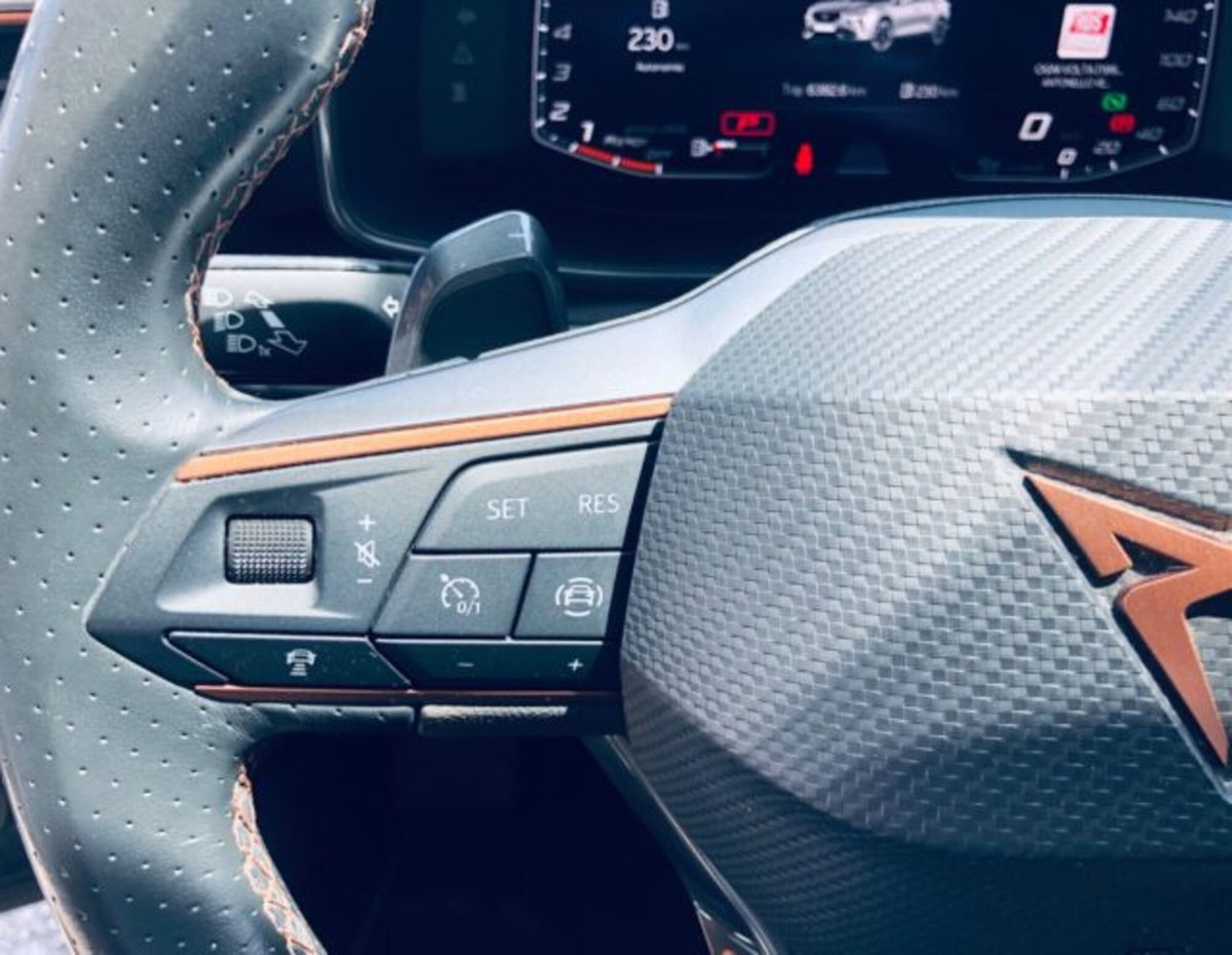 Cupra Formentor Formentor 1.5 TSI (15)