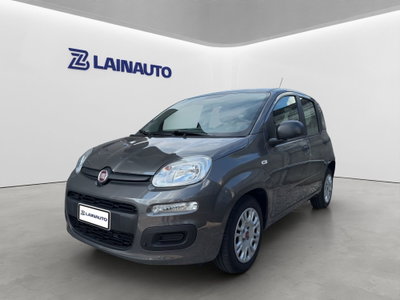 Fiat Panda 1.0 FireFly S&S Hybrid City Cross usata