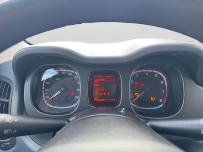 Fiat Panda 1.0 FireFly S&S Hybrid City Cross (12)