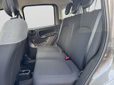 Fiat Panda 1.0 FireFly S&S Hybrid City Cross (14)