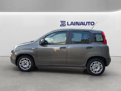 Fiat Panda 1.0 FireFly S&S Hybrid City Cross (3)