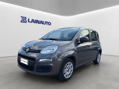 Fiat Panda 1.0 FireFly S&S Hybrid City Cross usata