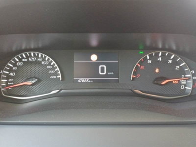 Peugeot 208 PureTech 100 Stop&Start EAT8 5 porte Active Pack (6)