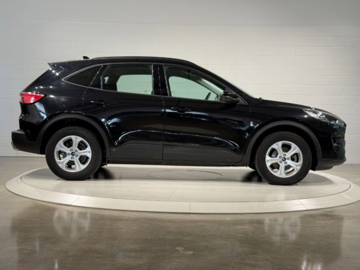 Ford Kuga 2.5 Full Hybrid 190 CV CVT 2WD ST-Line Design (6)