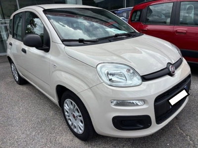 Fiat Panda 1.2 Easy (2)