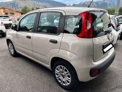 Fiat Panda 1.2 Easy (4)
