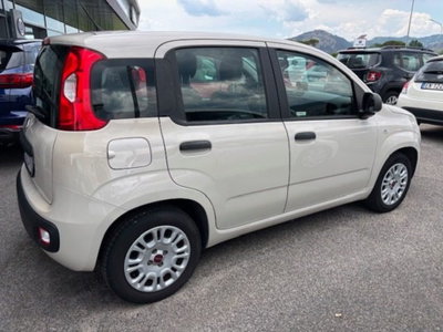 Fiat Panda 1.2 Easy (7)