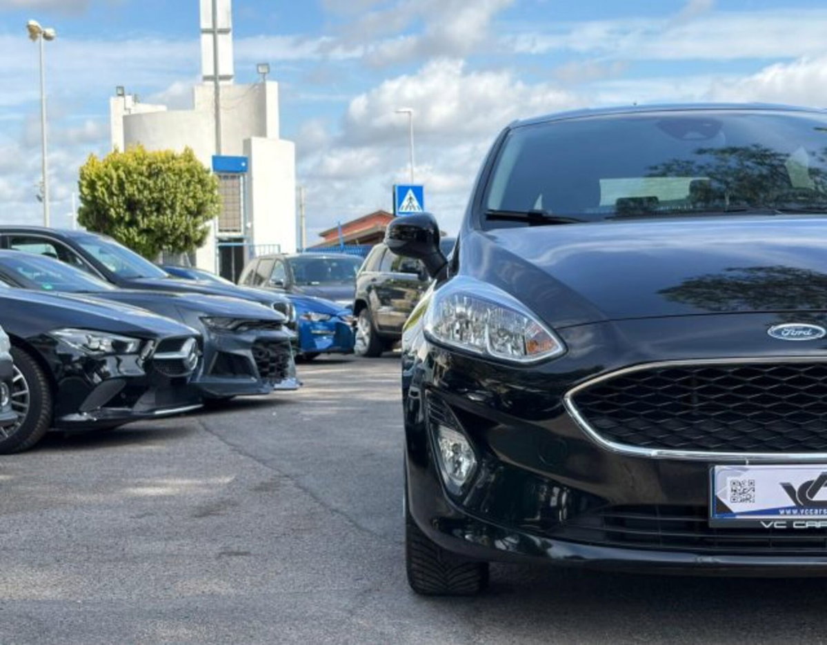 Ford Fiesta 1.1 85 CV 5 porte Titanium (7)
