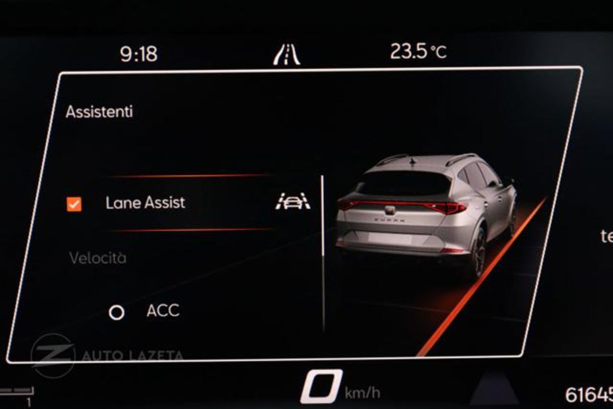 Cupra Formentor Formentor 2.0 TDI (11)