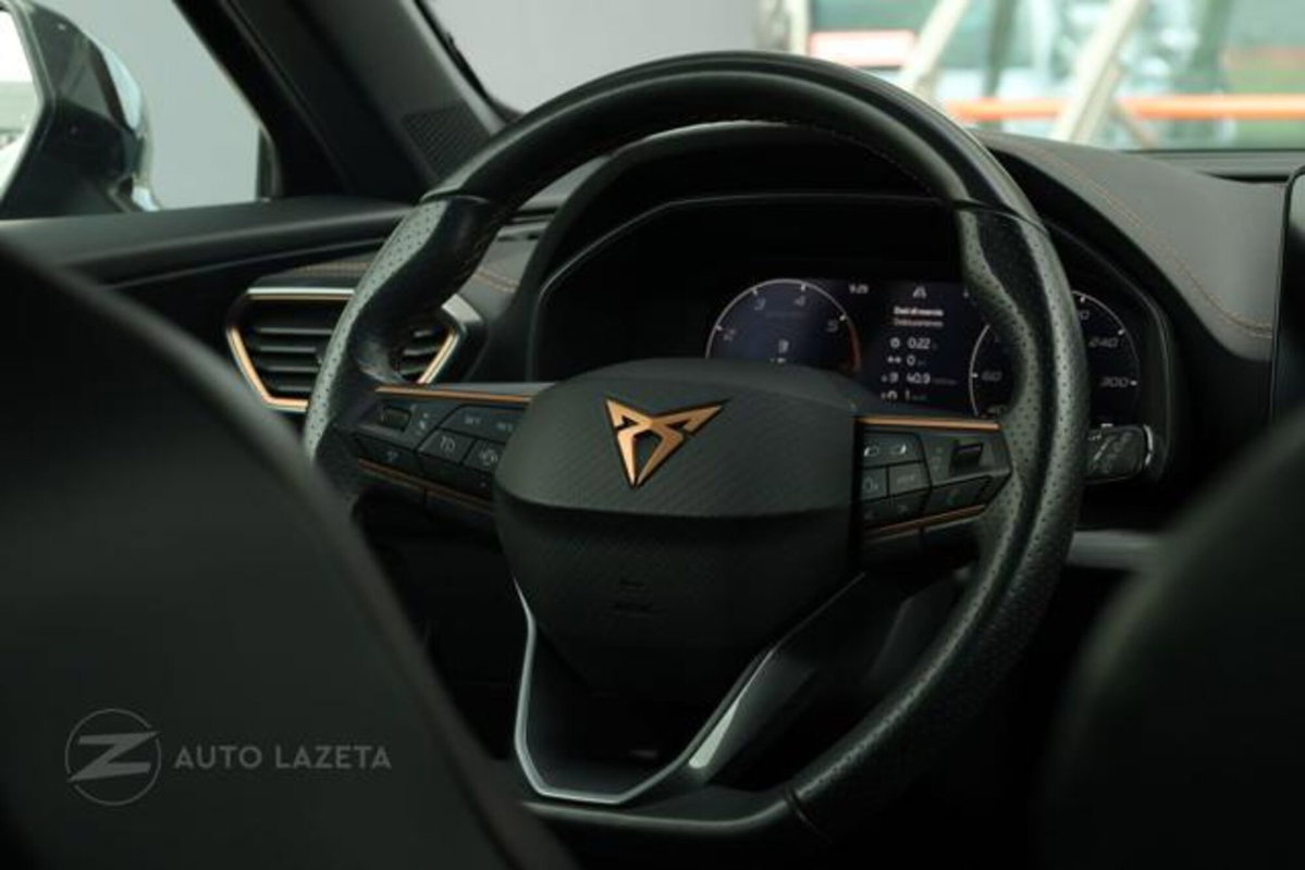Cupra Formentor Formentor 2.0 TDI (7)