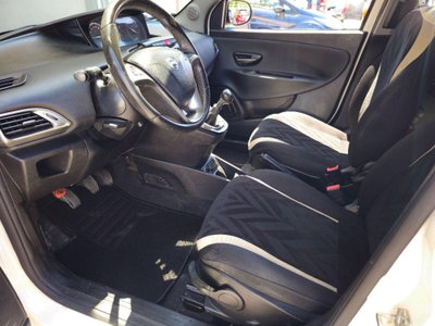 Lancia Ypsilon 1.3 MJT 16V 95 CV 5 porte S&S Platinum (15)