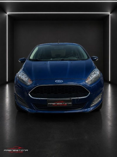 Ford Fiesta 1.4 5 porte Bz.- GPL Business N1 (3)
