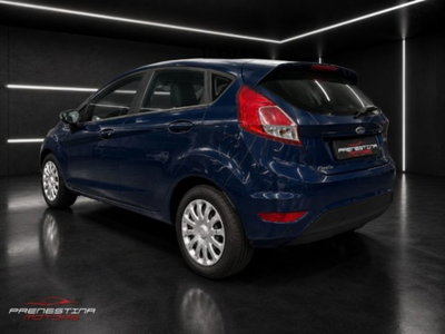 Ford Fiesta 1.4 5 porte Bz.- GPL Business N1 (4)