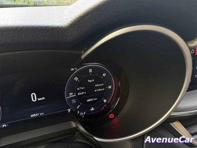 Alfa Romeo Stelvio Stelvio 2.2 Turbodiesel 210 CV AT8 Q4 Veloce Tì (14)