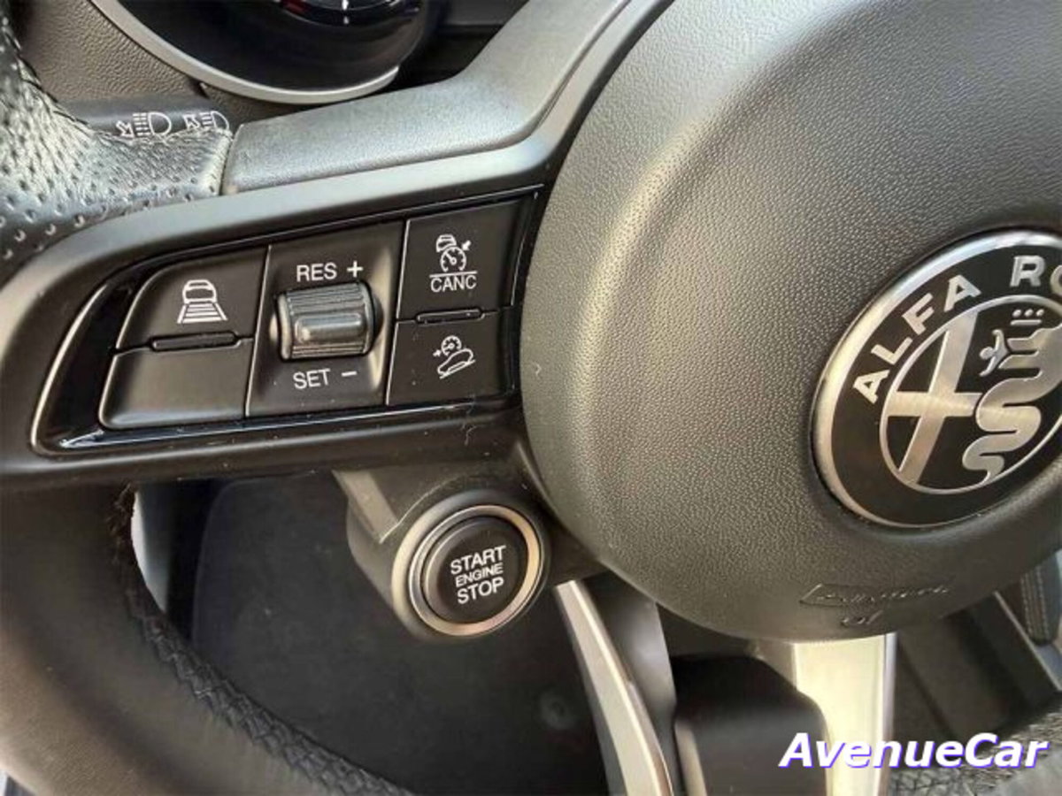 Alfa Romeo Stelvio Stelvio 2.2 Turbodiesel 210 CV AT8 Q4 Veloce (15)
