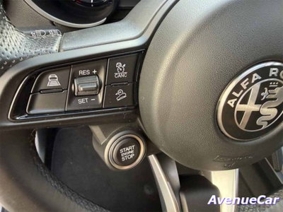Alfa Romeo Stelvio Stelvio 2.2 Turbodiesel 210 CV AT8 Q4 Veloce Tì (15)