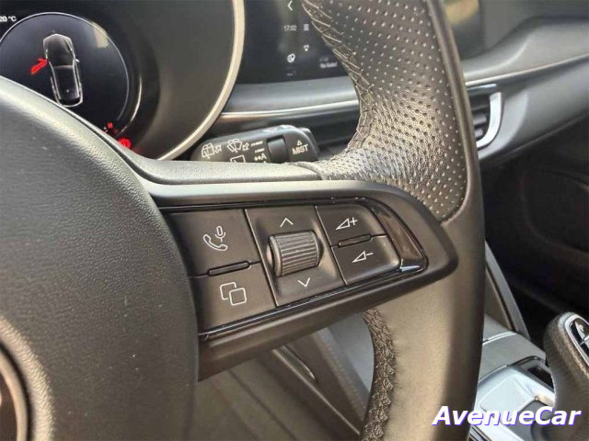 Alfa Romeo Stelvio Stelvio 2.2 Turbodiesel 210 CV AT8 Q4 Veloce (16)