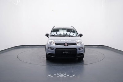 Fiat Panda 1.0 firefly hybrid s&s 70cv 5p.ti (2)