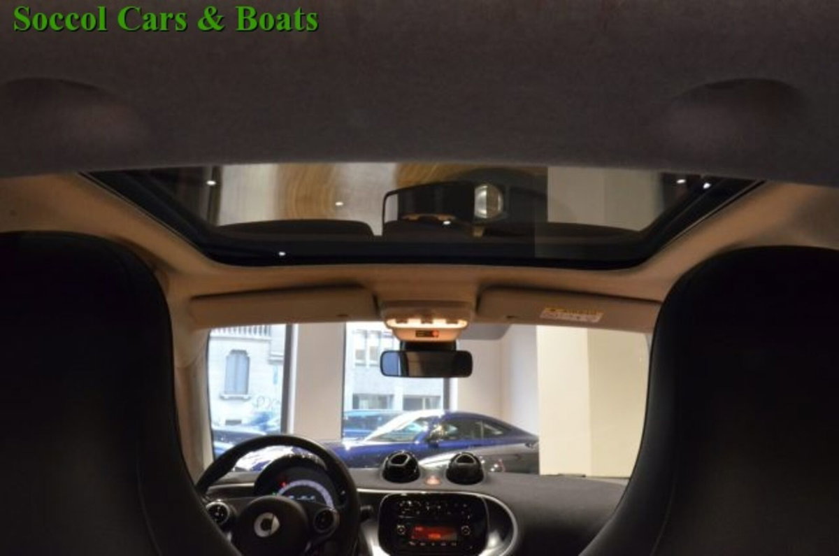 smart Fortwo 90 0.9 Turbo twinamic Superpassion (15)