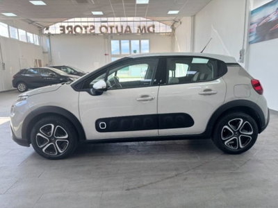 Citroen C3 BlueHDi 100 S&S Shine (8)