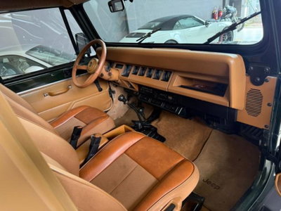 Jeep Wrangler 4.0 cat Hardtop Limited (12)