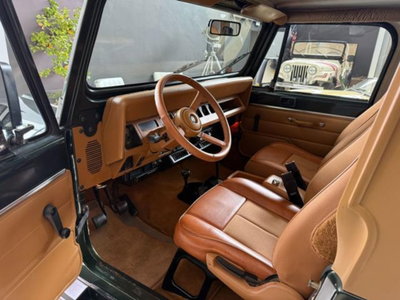 Jeep Wrangler 4.0 cat Hardtop Limited (13)