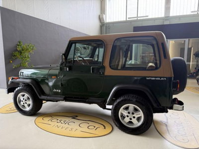 Jeep Wrangler 4.0 cat Hardtop Limited (14)