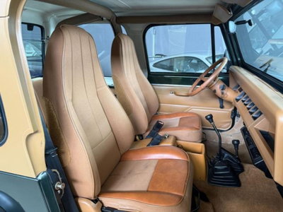 Jeep Wrangler 4.0 cat Hardtop Limited (16)