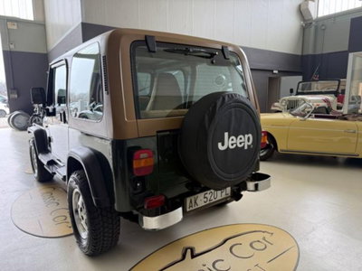 Jeep Wrangler 4.0 cat Hardtop Limited (20)