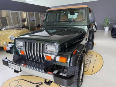 Jeep Wrangler 4.0 cat Hardtop Limited (3)