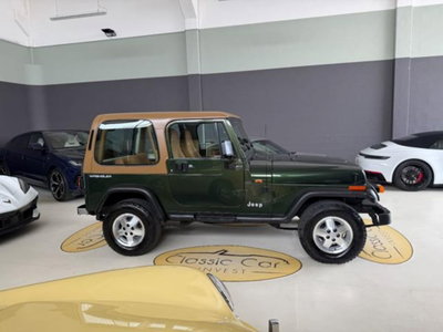 Jeep Wrangler 4.0 cat Hardtop Limited (4)