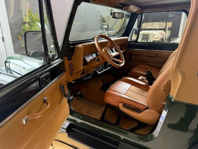 Jeep Wrangler 4.0 cat Hardtop Limited (6)