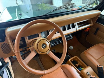 Jeep Wrangler 4.0 cat Hardtop Limited (7)