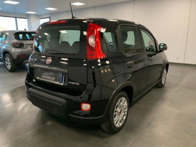 Fiat Panda 1.0 firefly hybrid s&s 70cv 5p.ti (6)