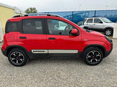 Fiat Panda Cross 1.0 firefly hybrid Cross s&s 70cv 5p.ti (4)