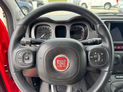 Fiat Panda Cross 1.0 firefly hybrid Cross s&s 70cv 5p.ti (9)