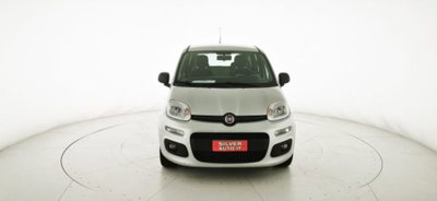 Fiat Panda 1.3 MJT 95 CV S&S Easy (2)