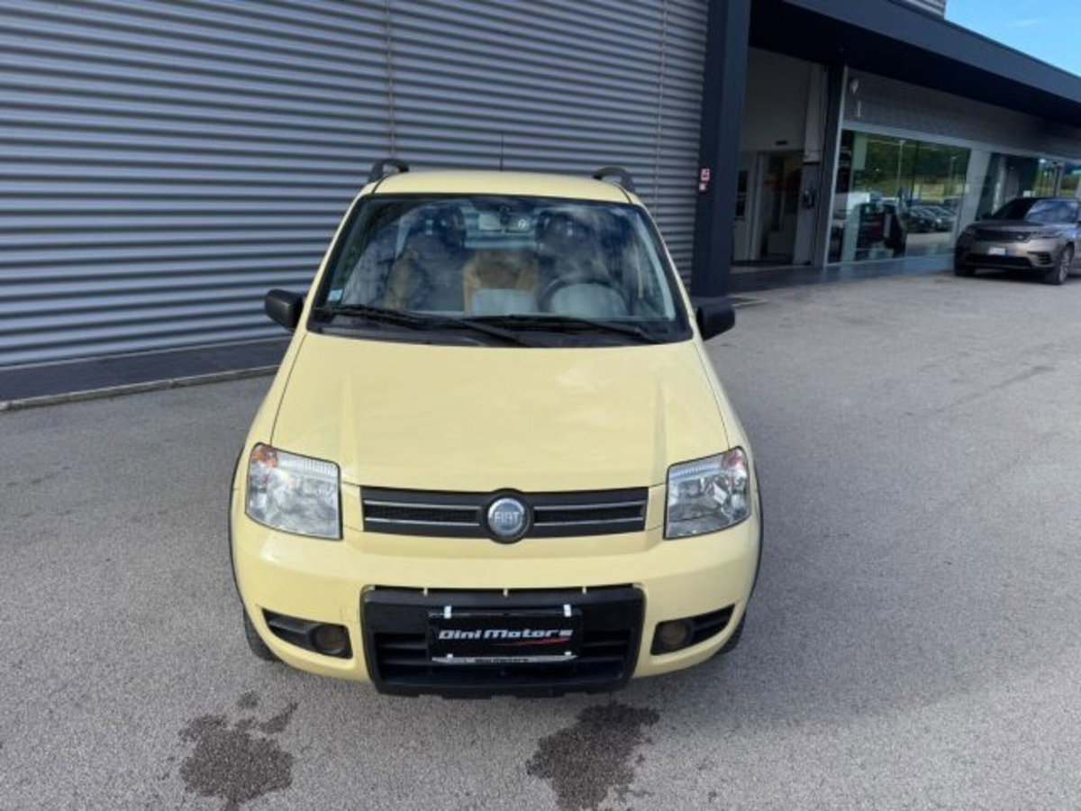 Fiat Panda 1.3 MJT 16V 4x4 Climbing (2)