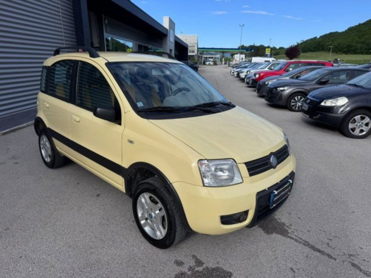 Fiat Panda 1.3 MJT 16V 4x4 Climbing (3)
