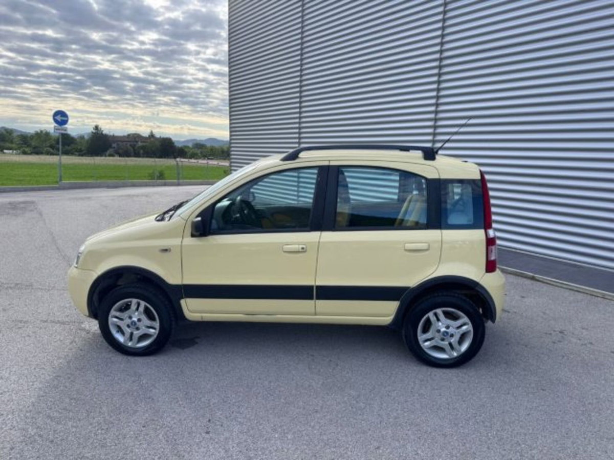 Fiat Panda 1.3 MJT 16V 4x4 Climbing (8)